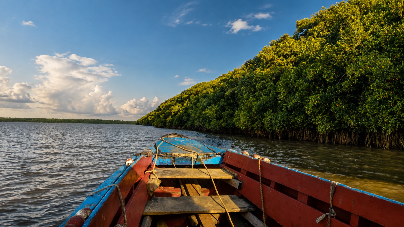 Commewijne river and plantations near Paramaribo