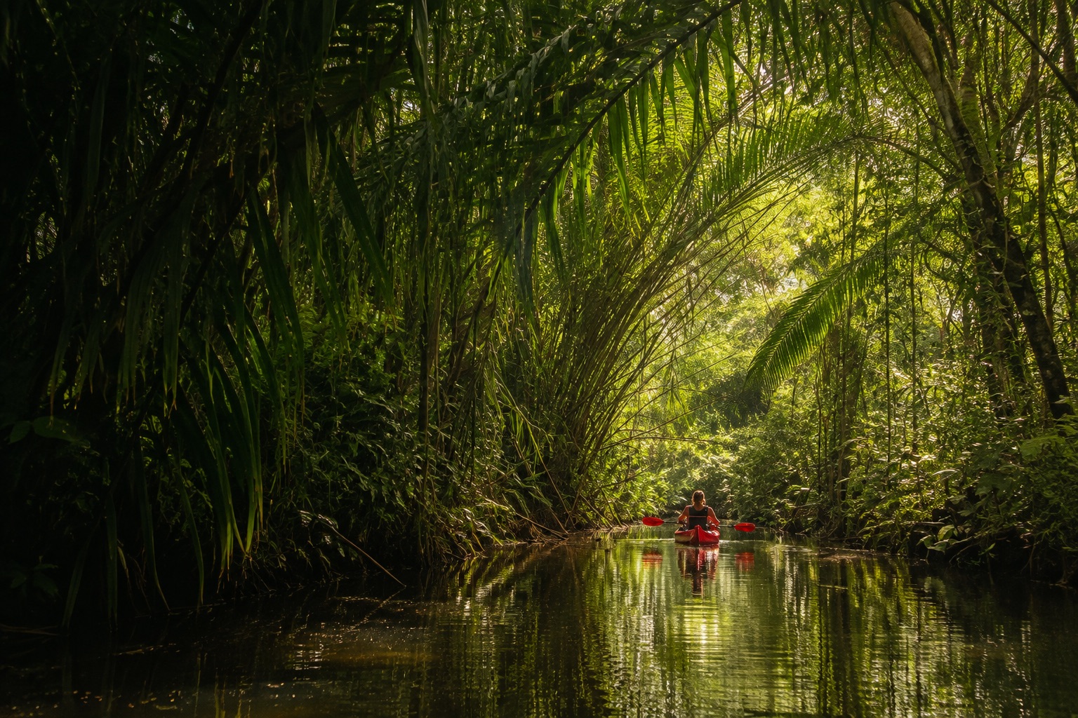 Peperpot Nature Park near Paramaribo